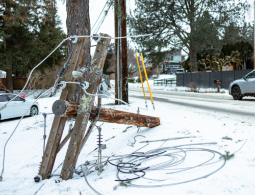 Keeping Food Safe During a Power Outage